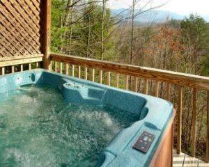 View of Hot Tub and Wooded Area