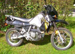 KLR 650 Dual sport Motorcycle Rentals in Townsend, Tennessee