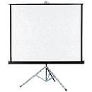 Projector Screen For Rent