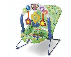 Bouncy Seat For Rent 