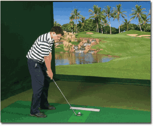 Promotional Multimedia Simulator Virtual Golf Game Rental