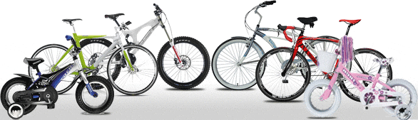 Bicycle Rentals and Electric Bikes for Rent