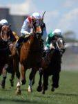 Video Horse Racing Games For Rent